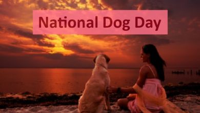 Happy National Dog Day Quotes, Picture, Greetings Card, Image, Wishes & SMS