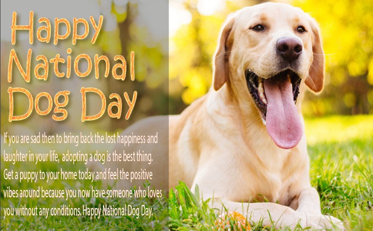 National Dog Day 2021 Slogans, Wishes, Messages, Greetings & SMS: