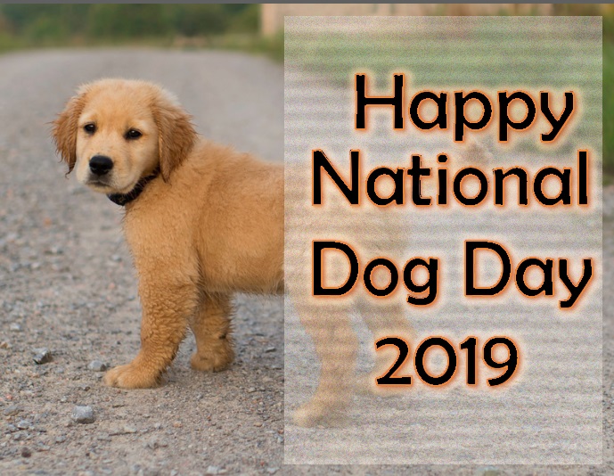 National Dog Day 2021 - Best Quotes, Picture, Greetings ...