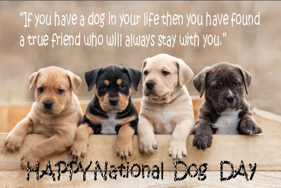 National Dog Day - Happy National Dog Day 2019 Latest ...