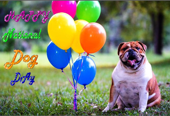 Dog Day, National dog day, National dog day 2021, happy dog day