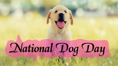 National Dog Day 2021 - Best Quotes, Picture, Greetings Card, Image, Wishes & SMS