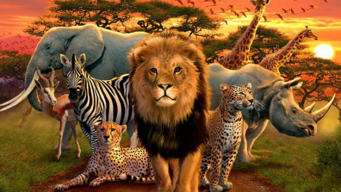 Happy World Wildlife Day 2019 Slogans, Wishes, Quotes, Picture, Image, Massage and HD Wallpaper