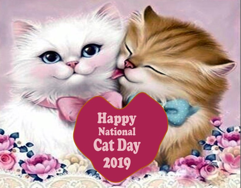 National Cat Day (29 October) - Wishes, Quotes, Message, Picture.