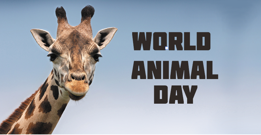 World Animal Day,World Animal Day 2021, happy World Animal Day, Happy World Animal Day 2021