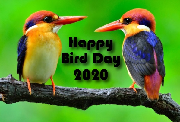 National Bird Day history, Quotes, poem, Wishes, status, Image, Picture, Greeting Card